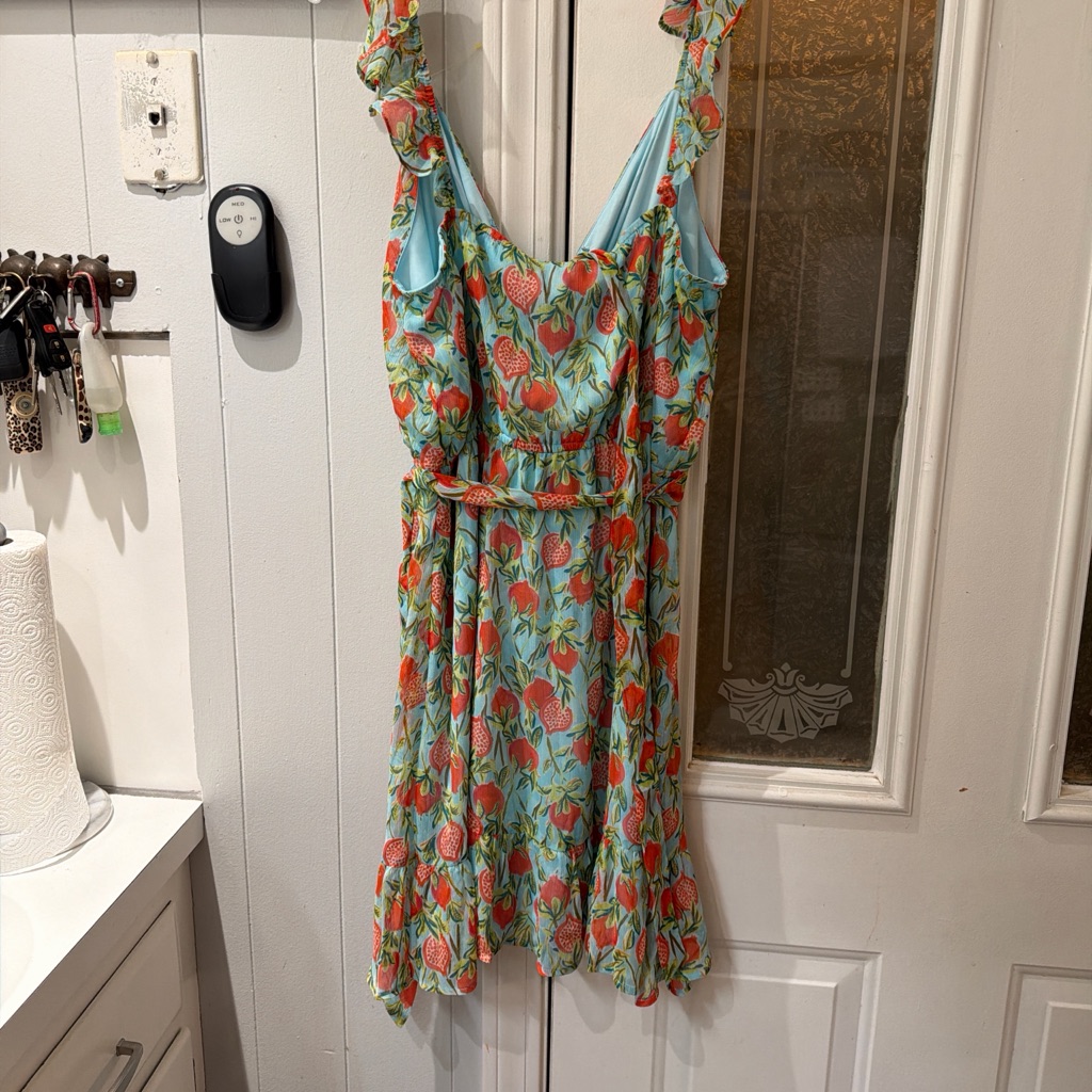 Lc Lauren Conrad Floral Mini Dress - Blue And Red